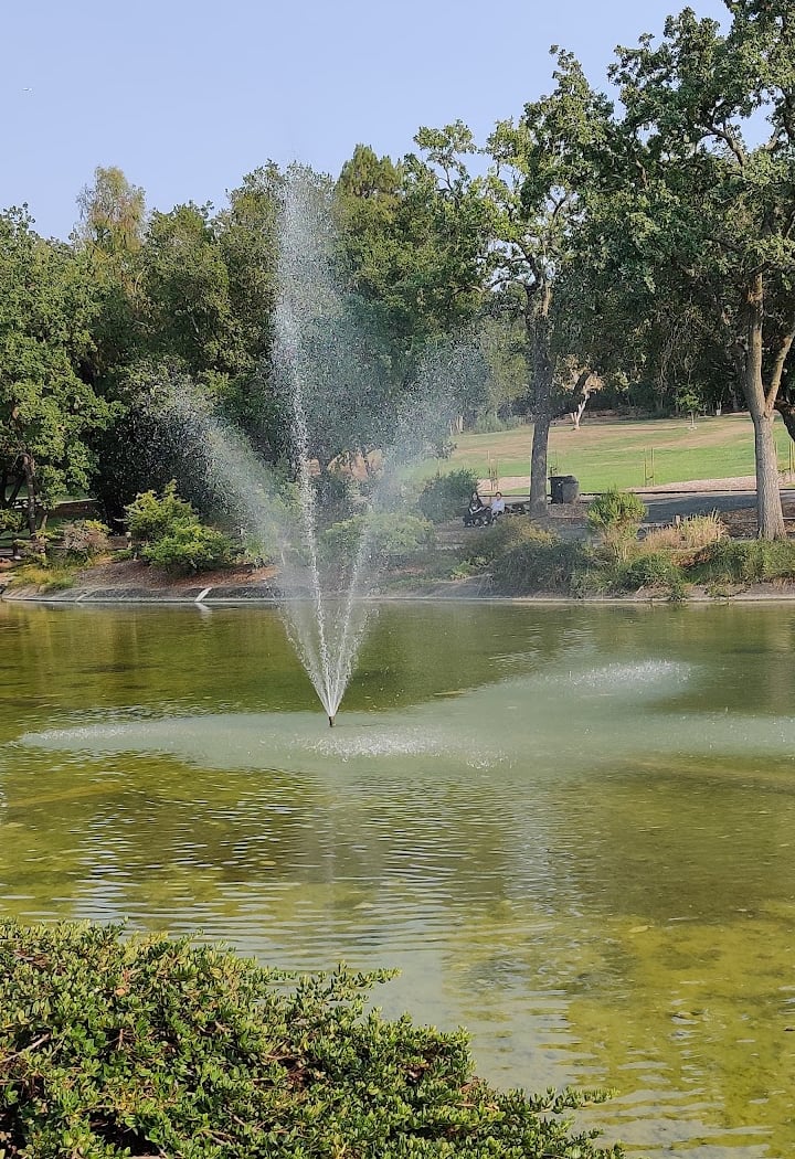Sharon Park 3