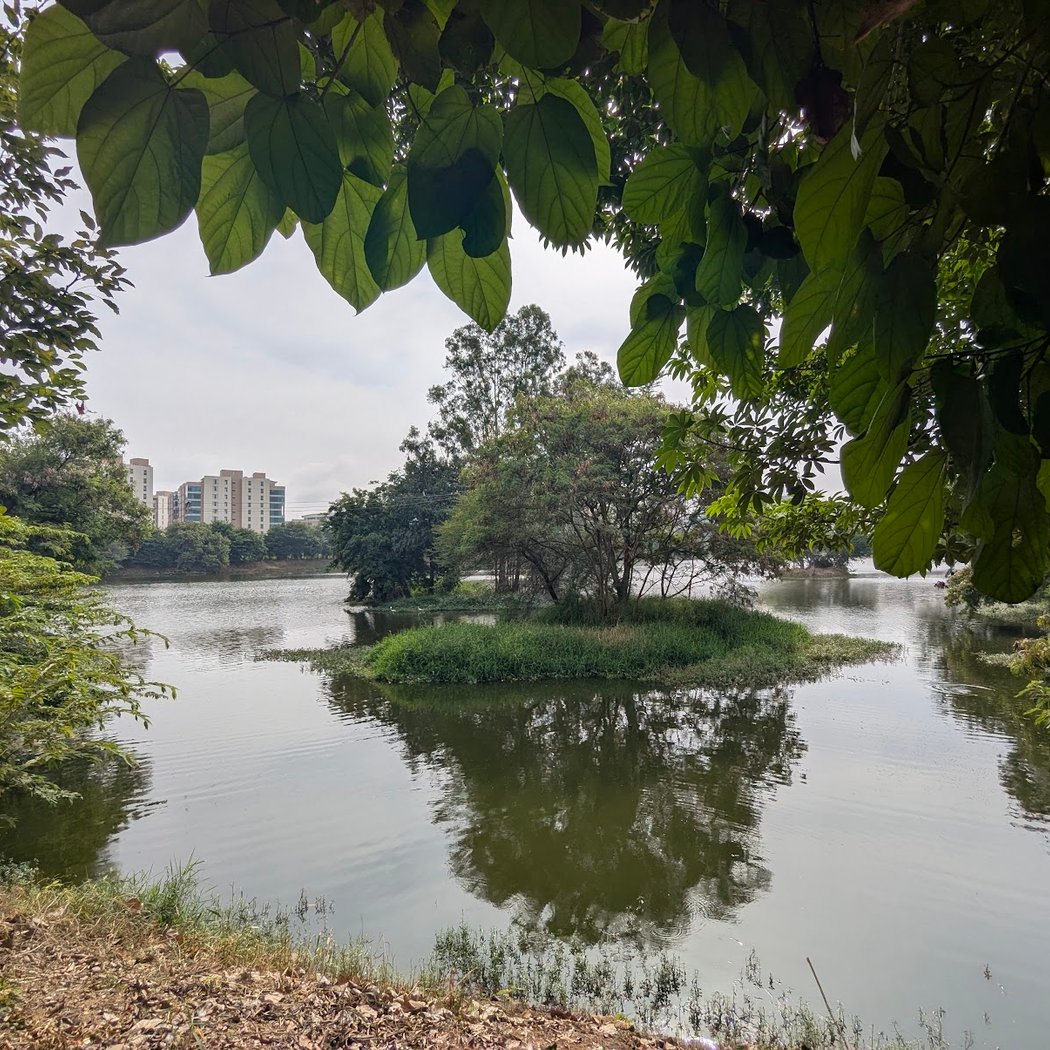 First Sunday Bird Walk 3