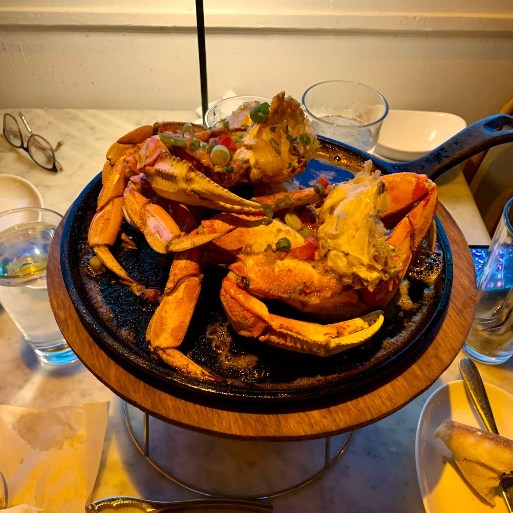 The Dead Fish 1