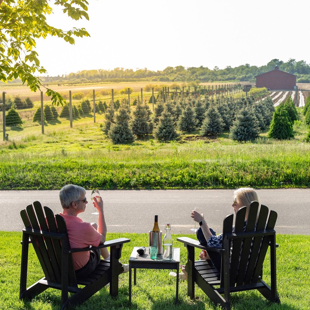 Bubbles & Beyond: A Sparkling Wine Exploration 5
