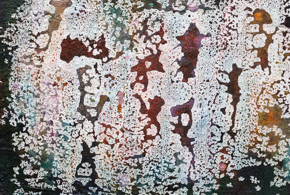 TOUCH NATURE 3