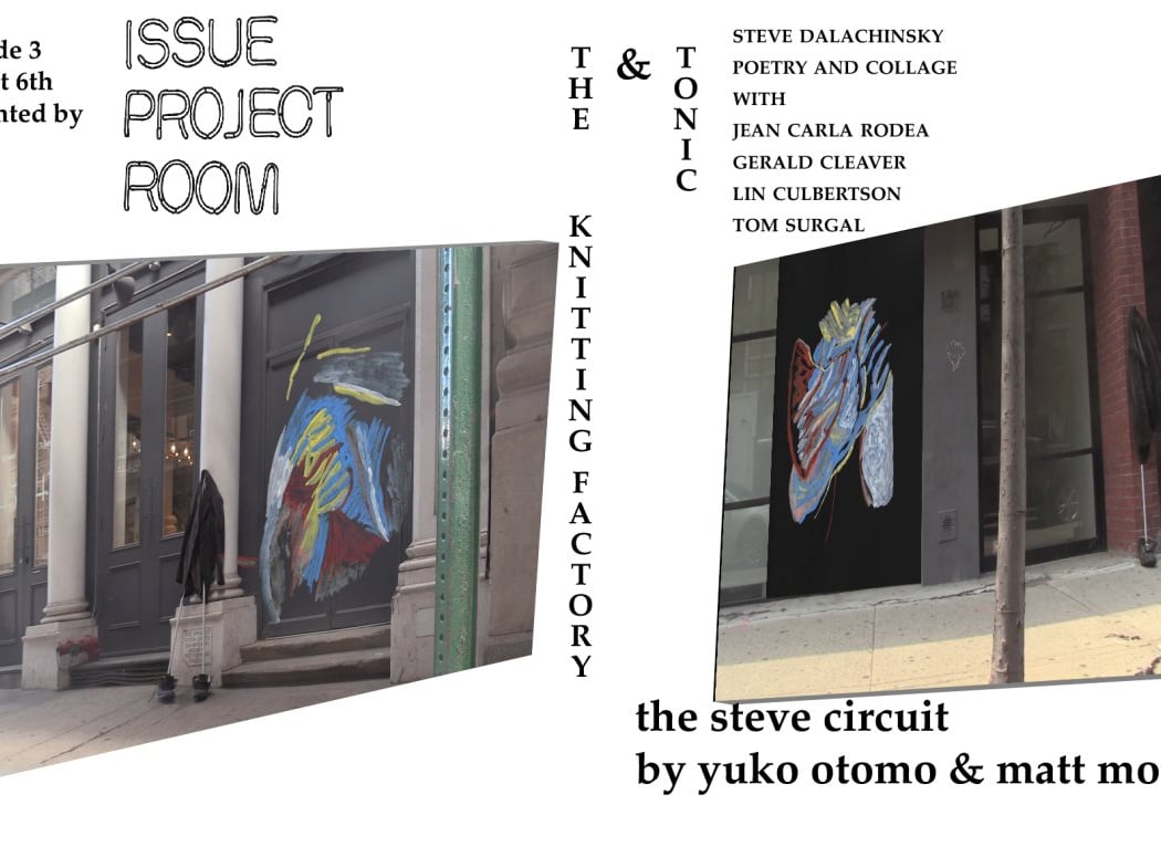 The Steve Circuit 1