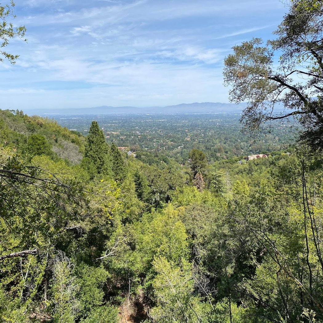 Overlook Trail 2