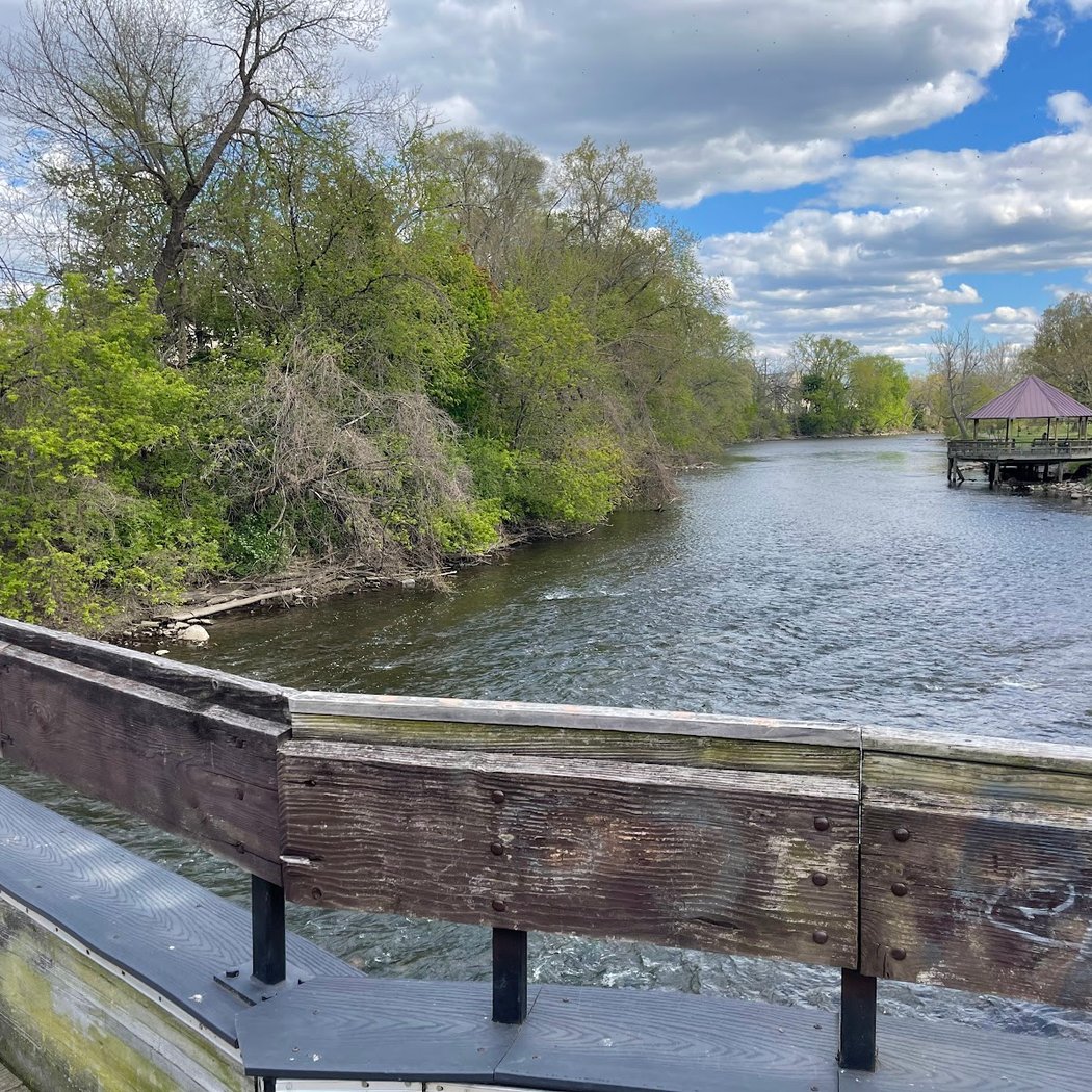 Frog Island Park 3
