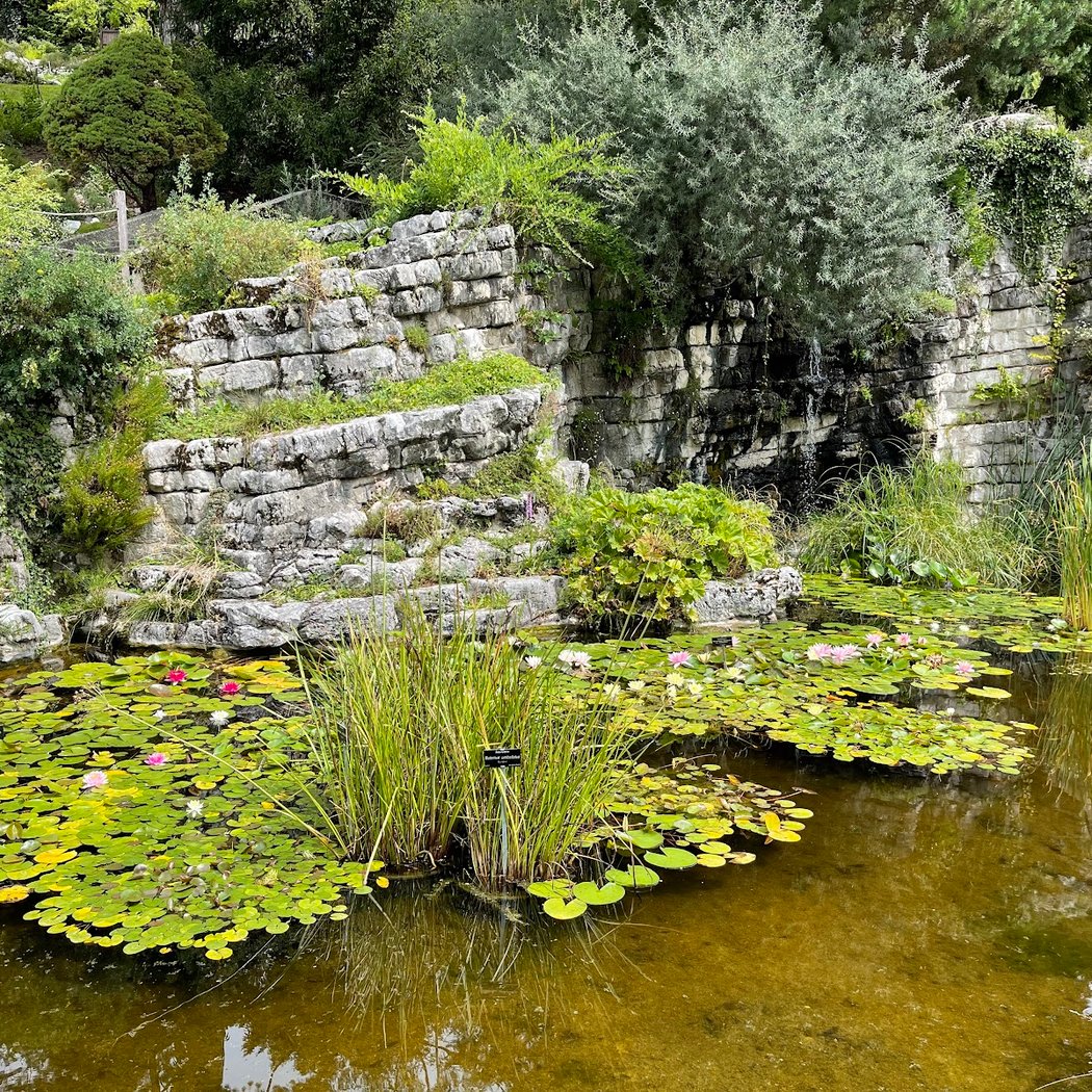 Lausanne Botanical Garden 3