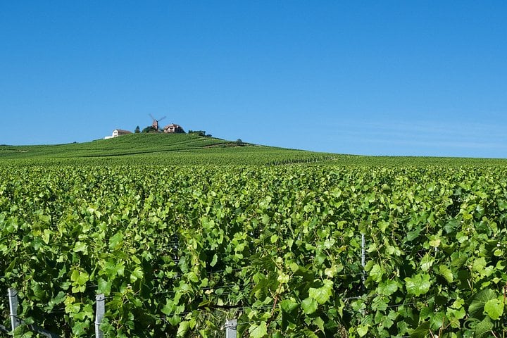 Private Day Trip Tour to Champagne from Paris with a local