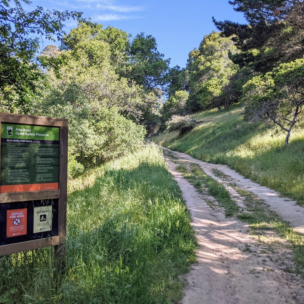 Alto Bowl Preserve 1