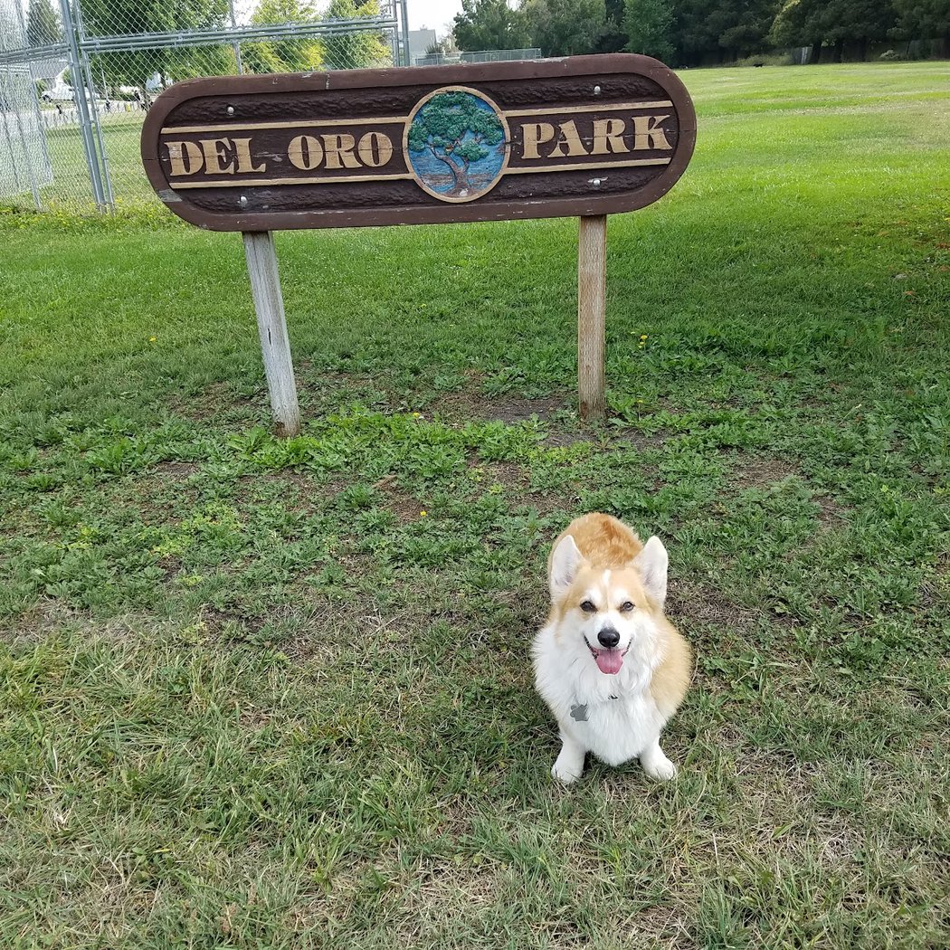 Del Oro Park 1