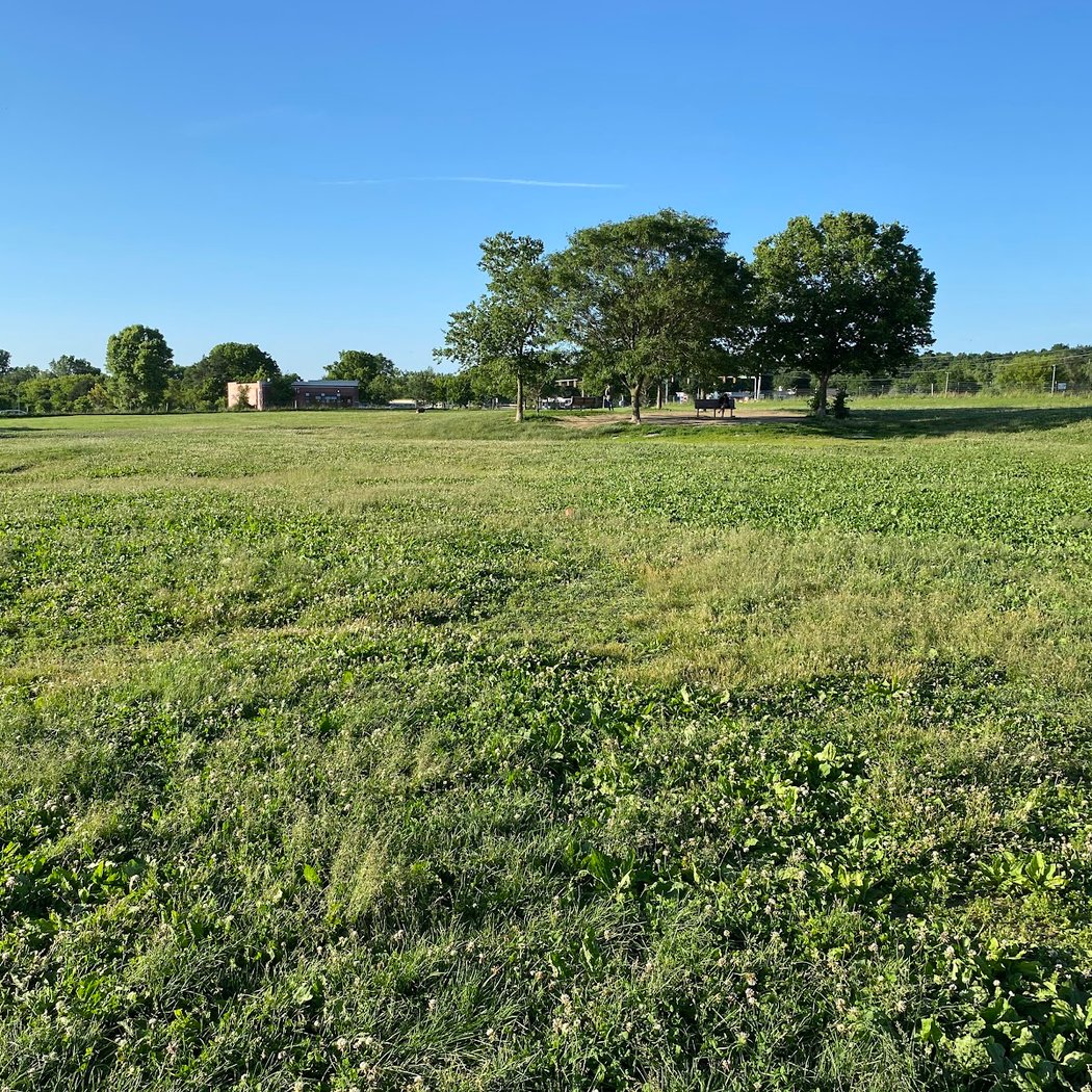 Swift Run Dog Park 2