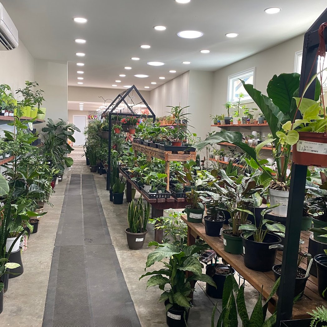 Annual Citrus-Tasting Event 2