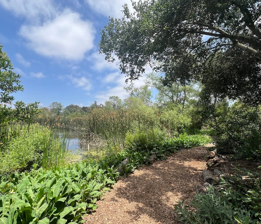 Shipley Nature Center 2