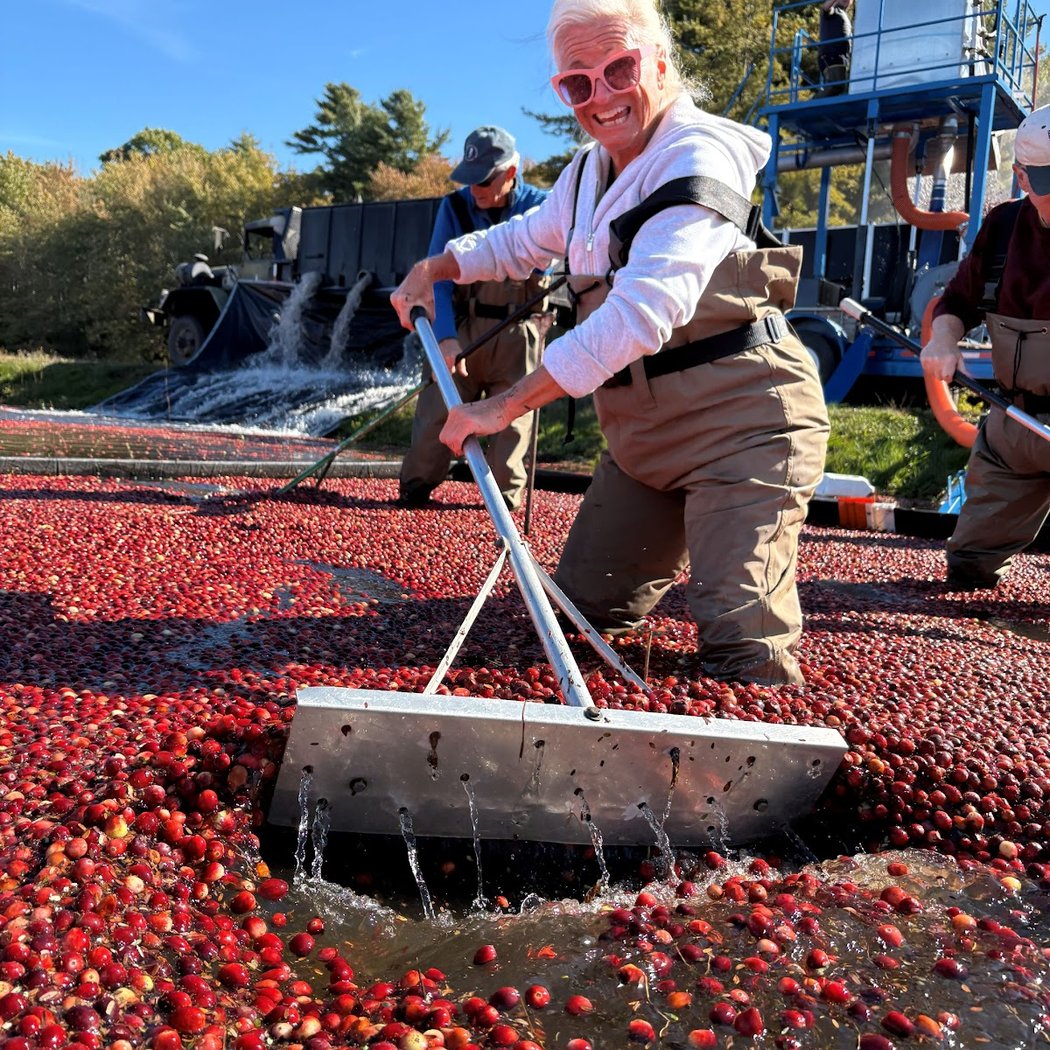 Bensons Pond Cranberries and Barn 1
