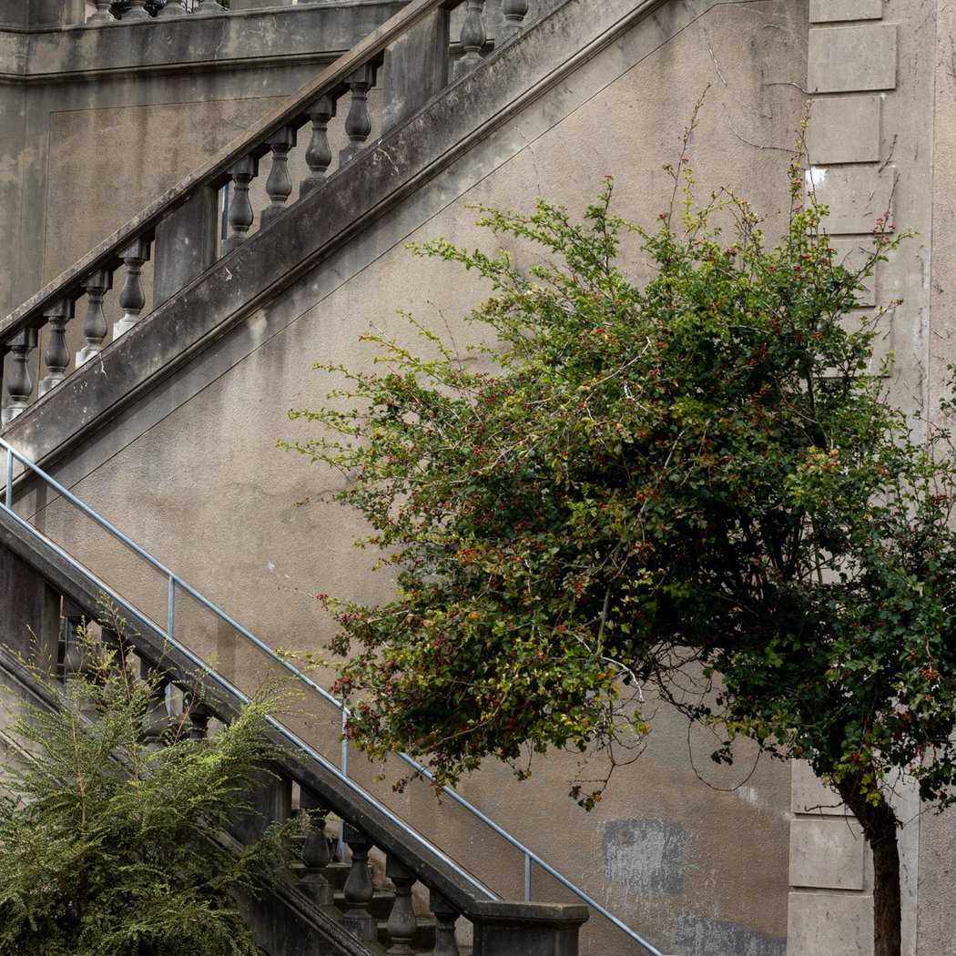 Vallejo Stairs 2