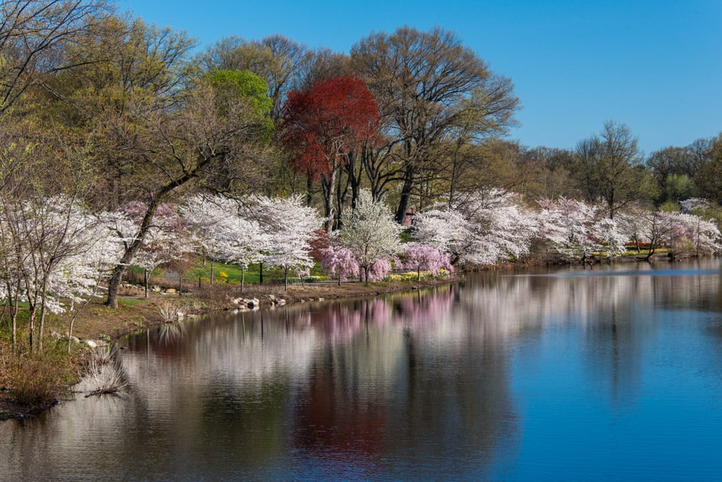 Branch Brook Park 1