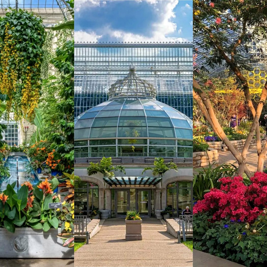 Matthaei Botanical Gardens 1