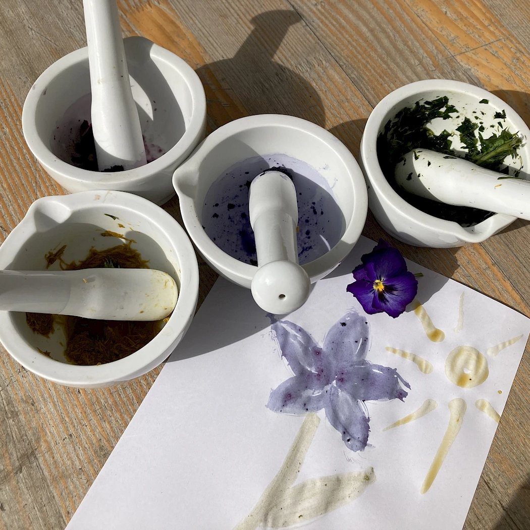 Colours from soil and plants 1