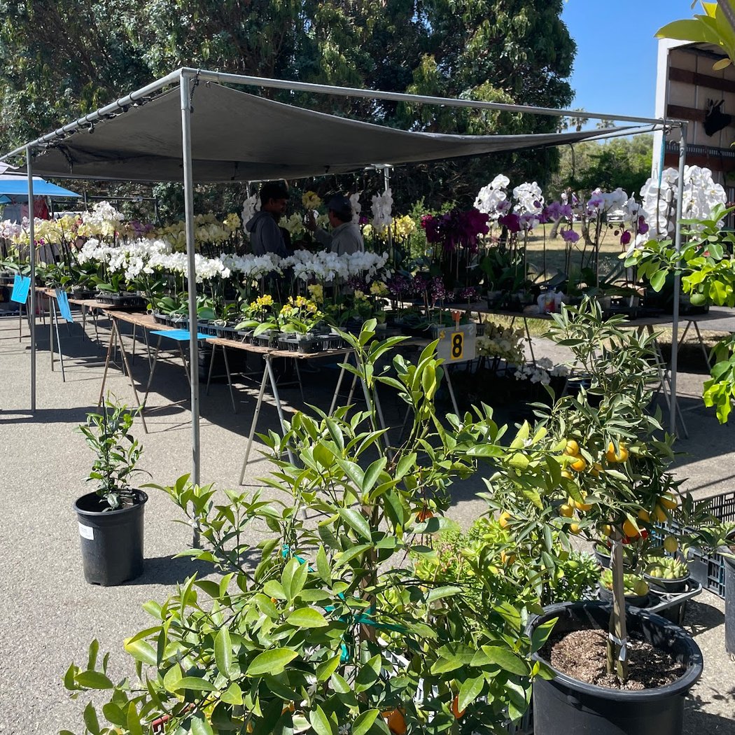 Ohlone College Flea Market 1