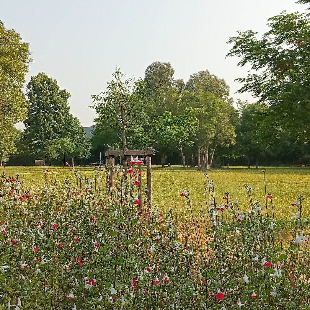 Jour de fête au Parc François Billoux 4
