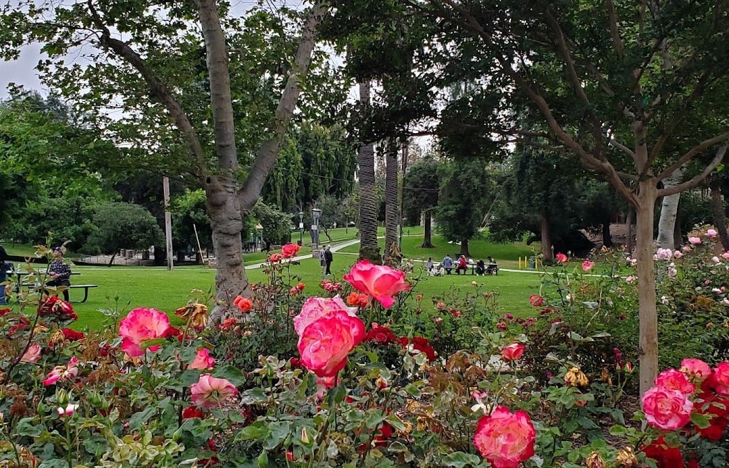 Garfield Park 1