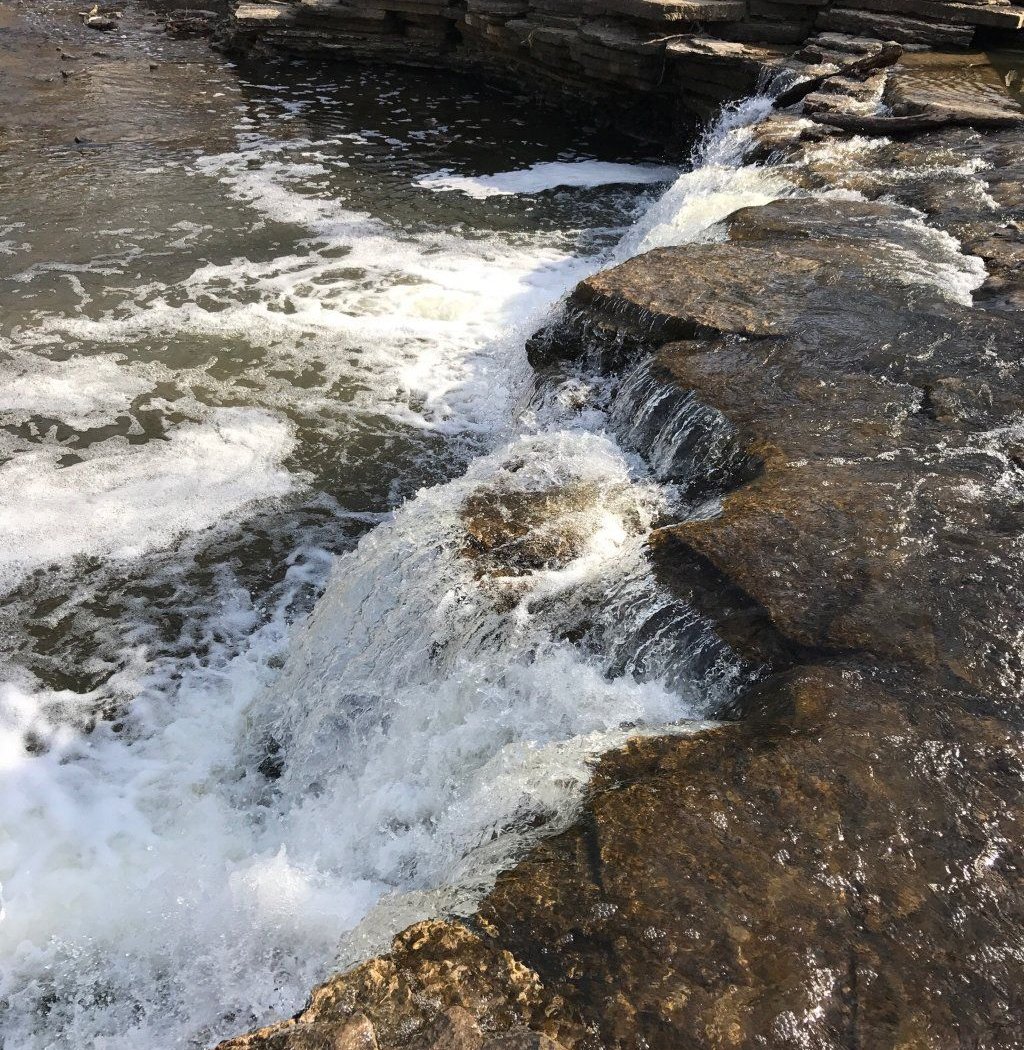 Waterfall Glen Forest Preserve 2
