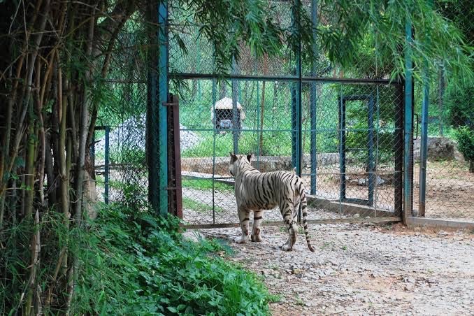Bannerughatta Biological Park 2
