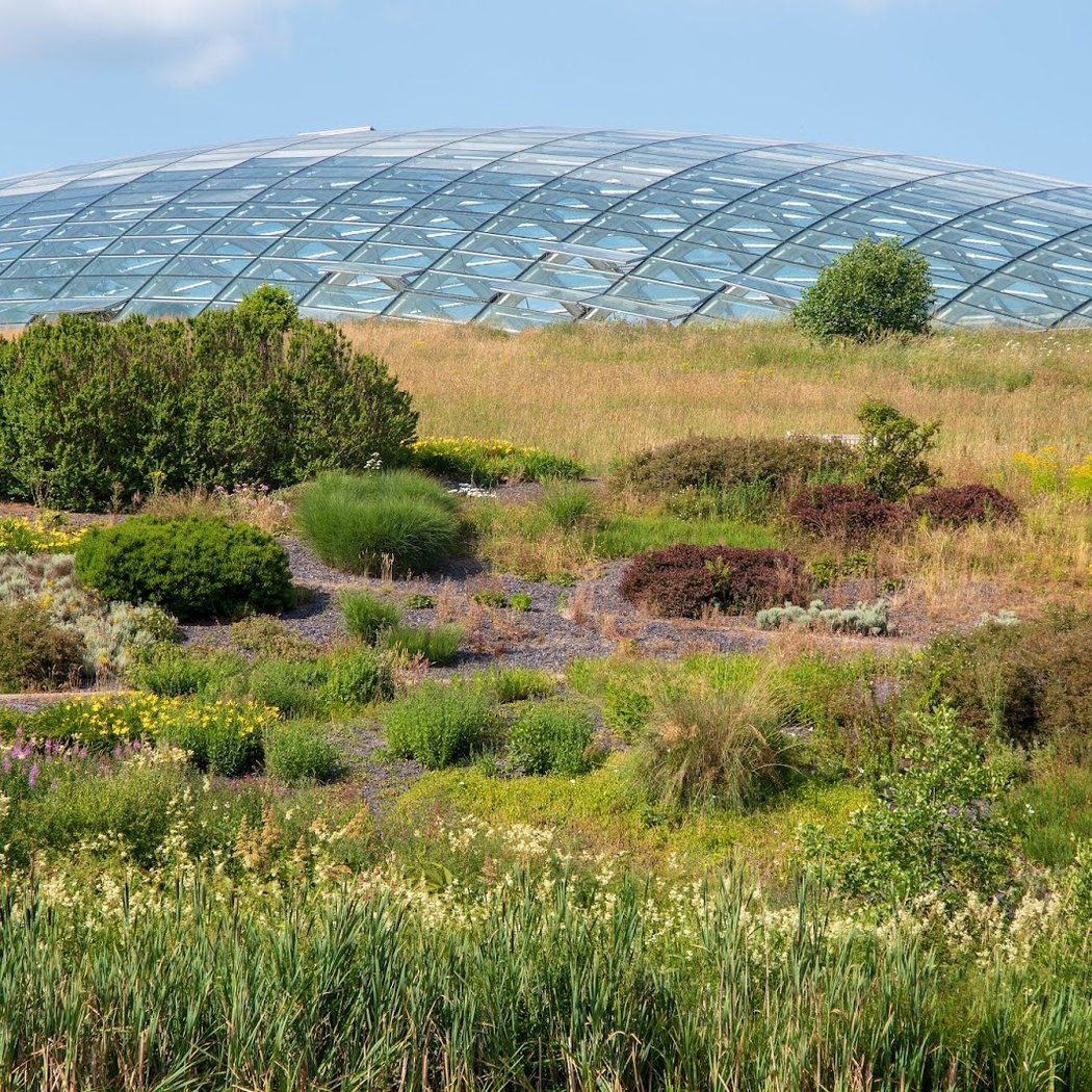 National Botanic Garden of Wales 3
