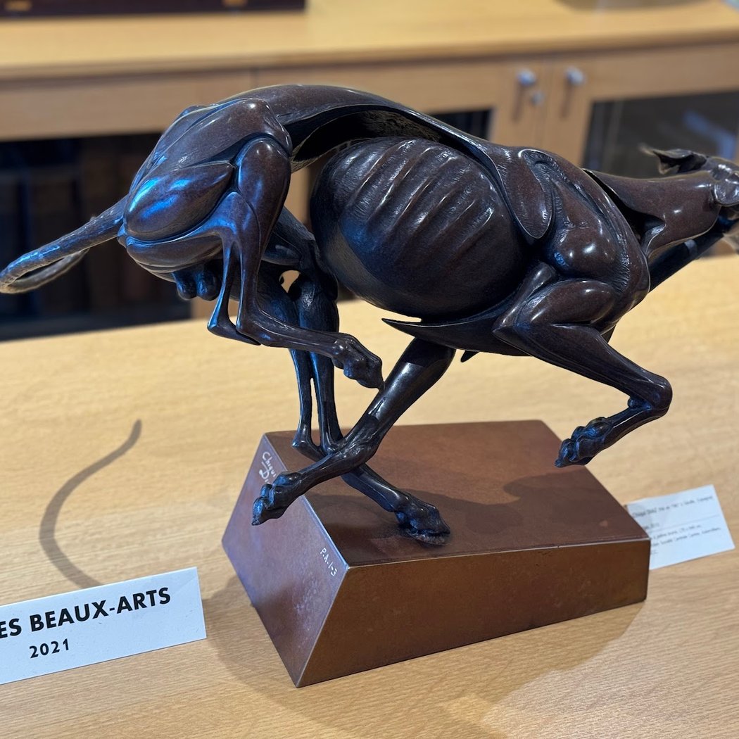 Free exhibition at the Dog Museum 1