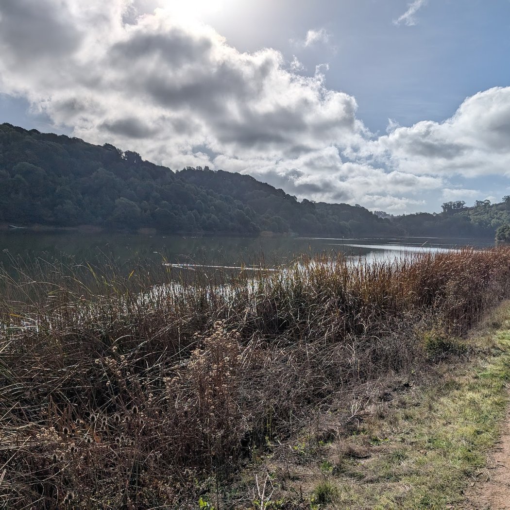 Nike Trail | Lake Chabot 1