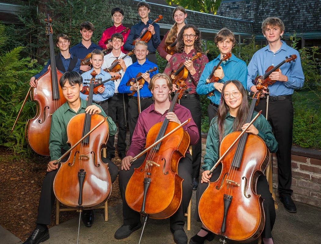 Suspended Like a Cloud – Young People's Chamber Orchestra 1