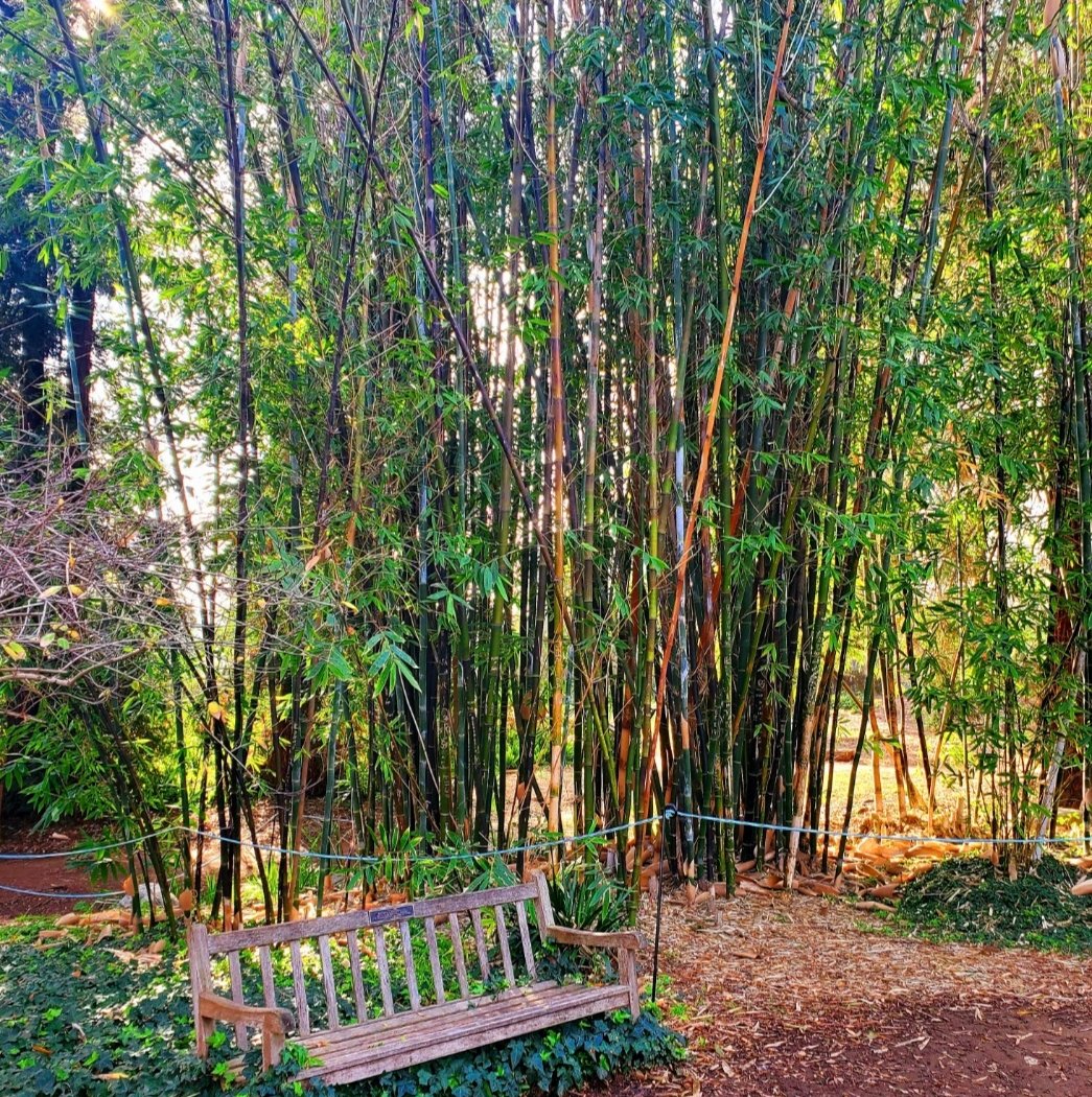 Haunted Garden 3