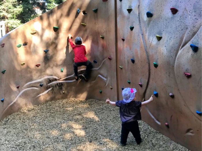 Dracena Quarry Park 2
