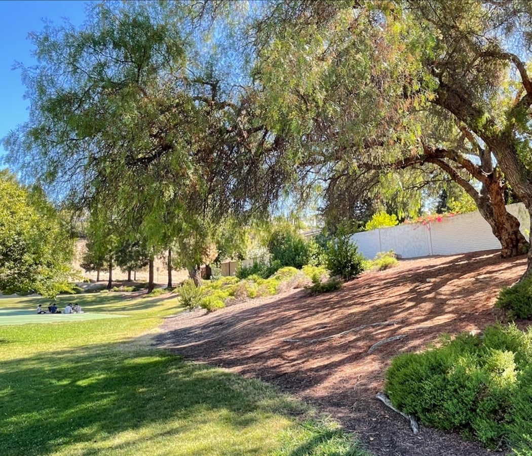 Arroyo Agua Caliente Park 3