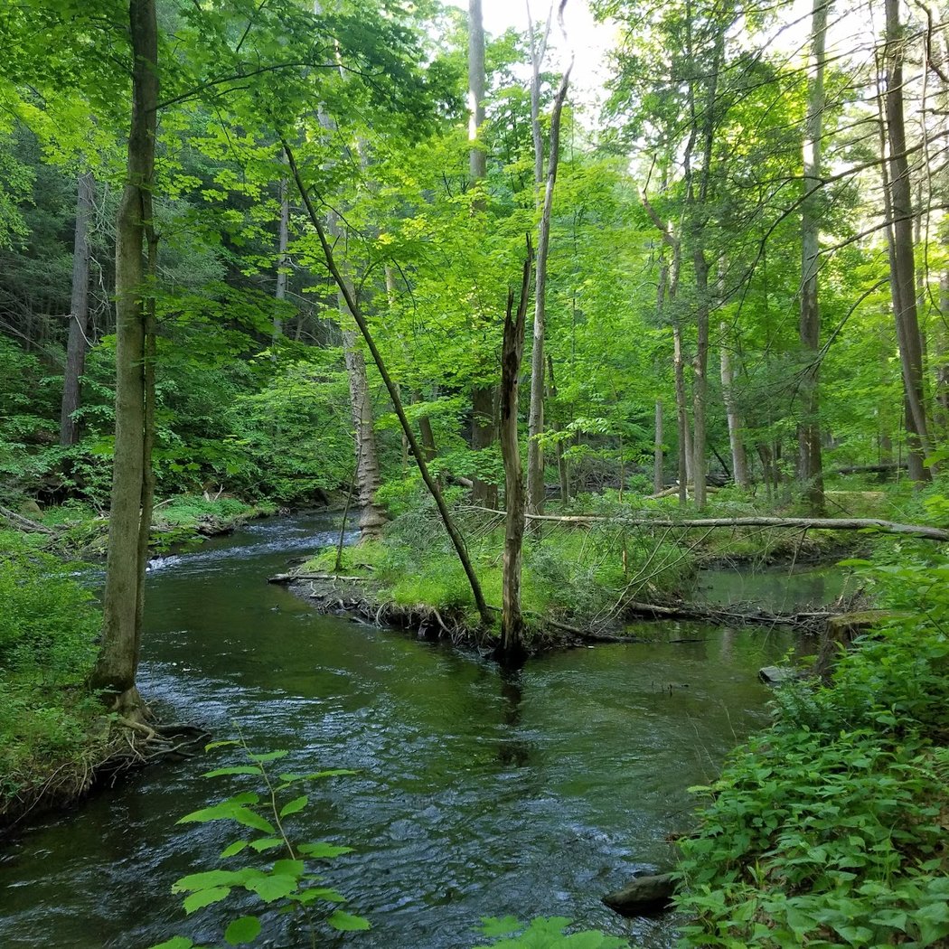 New to Nature: Casting for Calm 3