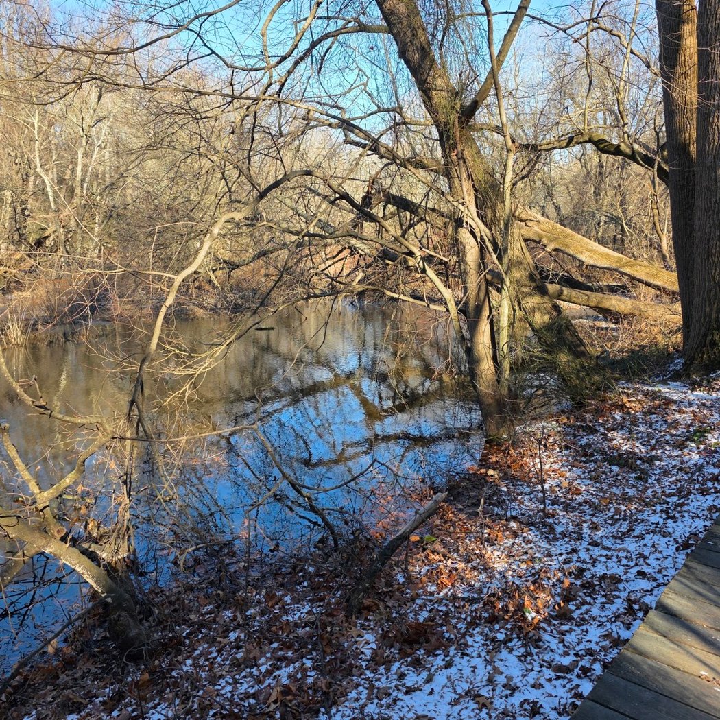 Brecknock County Park 2