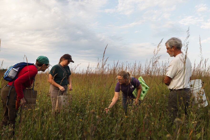 Oxbow Prairie Volunteer Workday 1