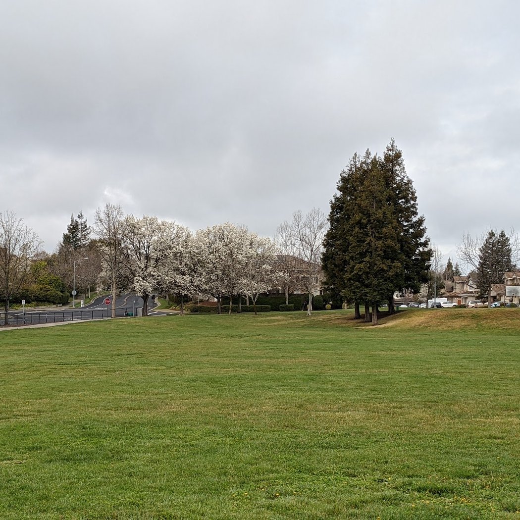 Lester J Knott Park 3