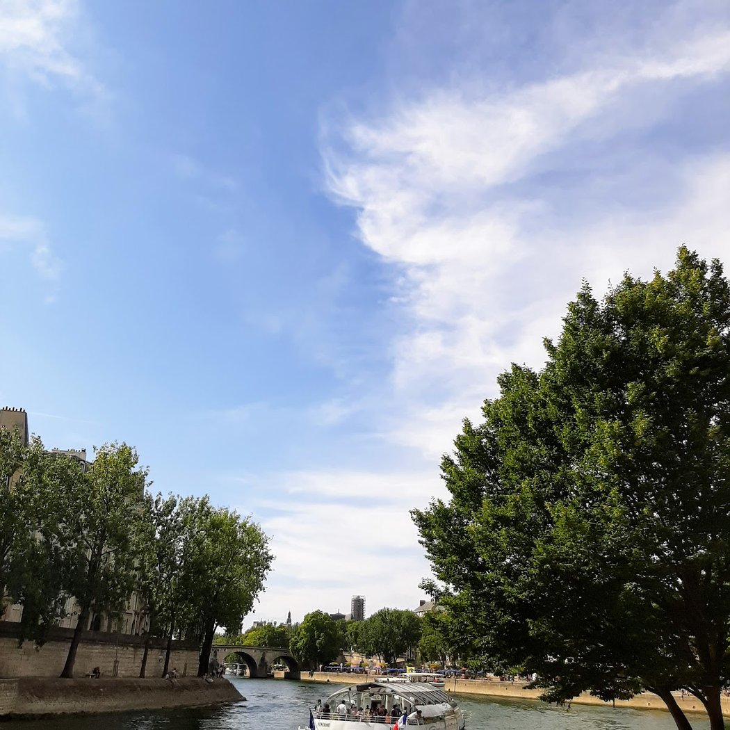 Saison France-Brésil 2025 - Cinéma en plein air 3