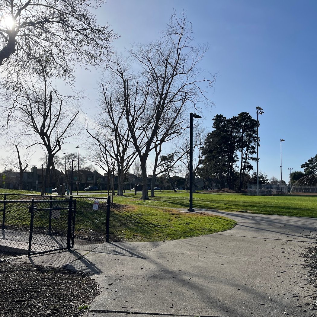 Rotary Club Plants 22 Trees in Leydecker Park 2