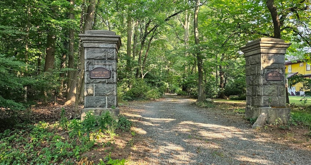 Woodwild Park 1