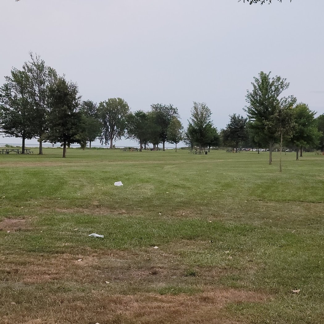 Lake Erie Owl Prowl 2