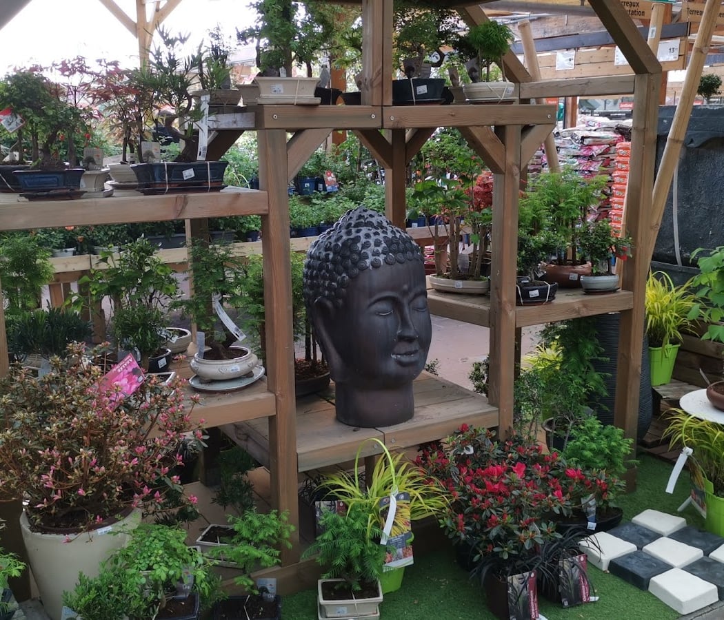 JARDILAND 3