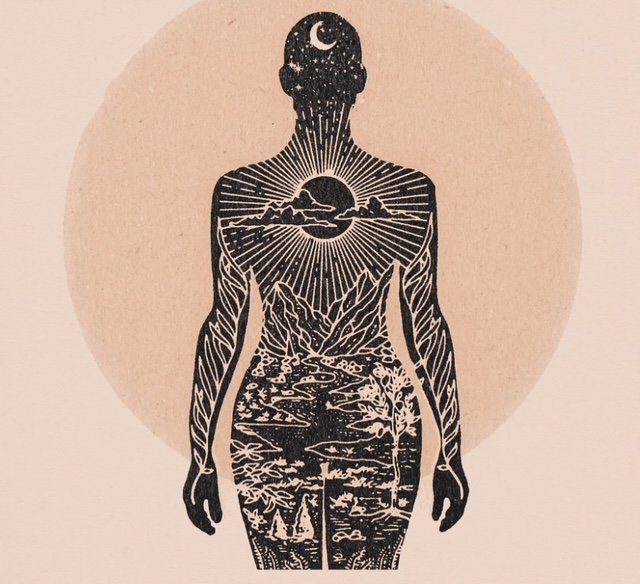 Roots of Wellness 1