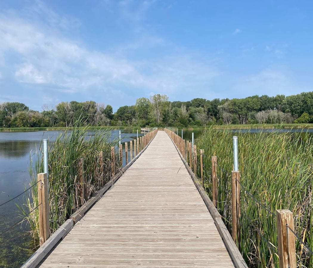 Bird Hike 2