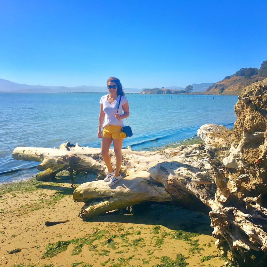 Point Molate Beach Park 3