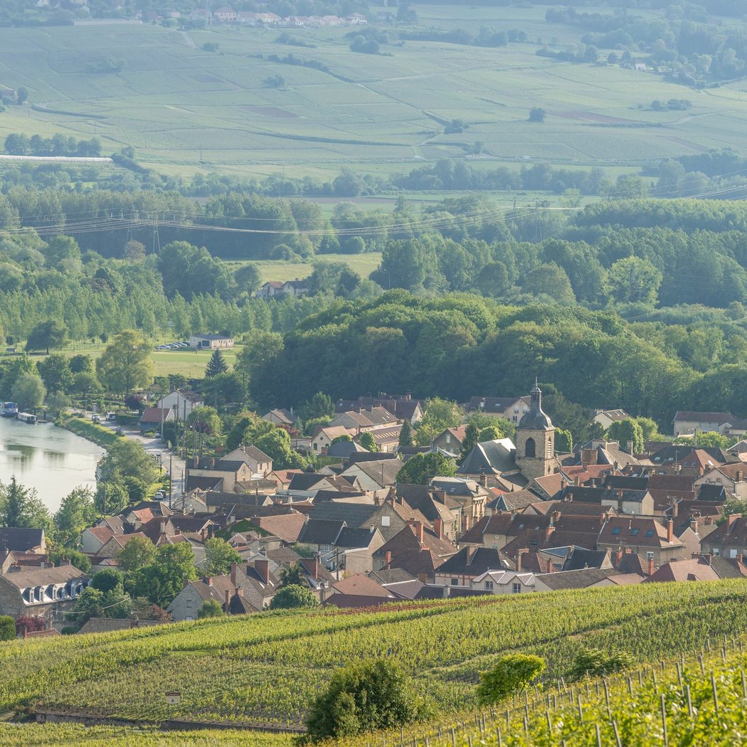 Avenue de Champagne 3