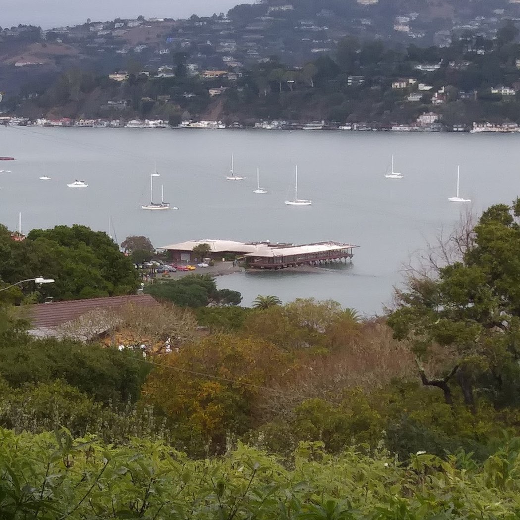 Sausalito Players Performance 3