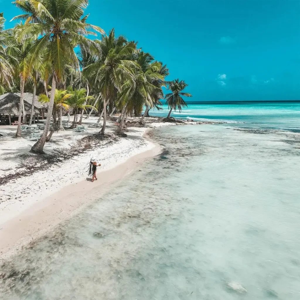 Saona Island 1