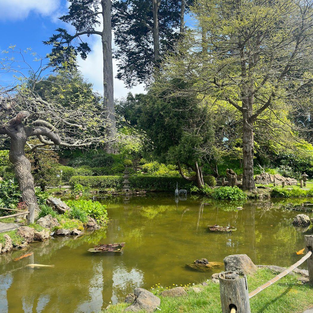 Moon Viewing Garden 3
