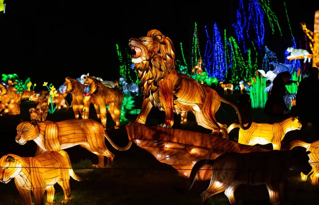 Programme de Noël à la Bergerie nationale 1