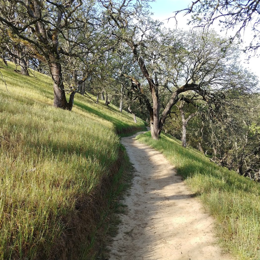 Mount Wanda Trailhead 1